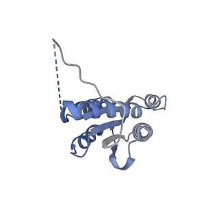 11632_7a4g_KN_v1-2
Aquifex aeolicus lumazine synthase-derived nucleocapsid variant NC-1 (180-mer)