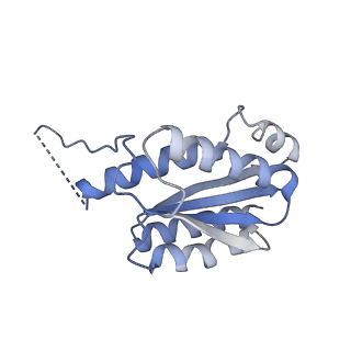11632_7a4g_KO_v1-2
Aquifex aeolicus lumazine synthase-derived nucleocapsid variant NC-1 (180-mer)