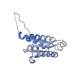 11632_7a4g_LB_v1-2
Aquifex aeolicus lumazine synthase-derived nucleocapsid variant NC-1 (180-mer)