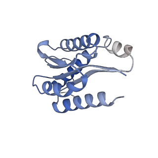 11632_7a4g_LD_v1-2
Aquifex aeolicus lumazine synthase-derived nucleocapsid variant NC-1 (180-mer)