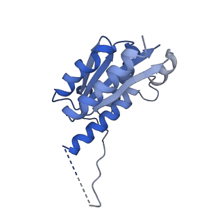 11632_7a4g_LE_v1-2
Aquifex aeolicus lumazine synthase-derived nucleocapsid variant NC-1 (180-mer)