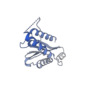11632_7a4g_LF_v1-2
Aquifex aeolicus lumazine synthase-derived nucleocapsid variant NC-1 (180-mer)