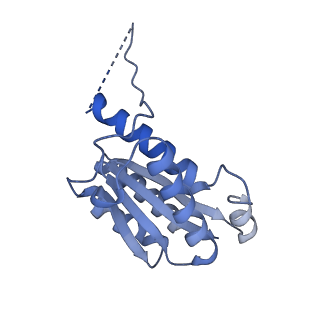 11632_7a4g_LG_v1-2
Aquifex aeolicus lumazine synthase-derived nucleocapsid variant NC-1 (180-mer)