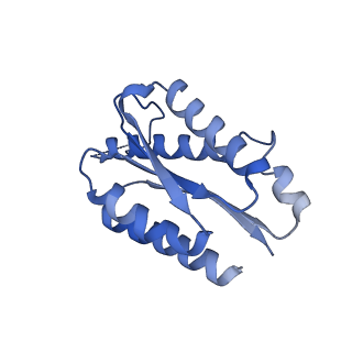 11632_7a4g_LH_v1-2
Aquifex aeolicus lumazine synthase-derived nucleocapsid variant NC-1 (180-mer)