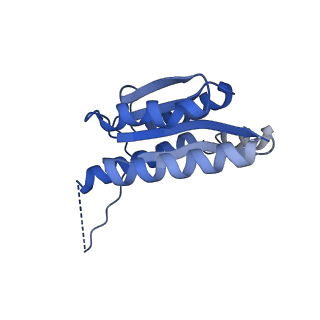 11632_7a4g_LI_v1-2
Aquifex aeolicus lumazine synthase-derived nucleocapsid variant NC-1 (180-mer)