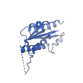 11632_7a4g_LJ_v1-2
Aquifex aeolicus lumazine synthase-derived nucleocapsid variant NC-1 (180-mer)