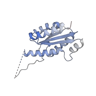 11632_7a4g_LK_v1-2
Aquifex aeolicus lumazine synthase-derived nucleocapsid variant NC-1 (180-mer)