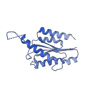 11632_7a4g_LL_v1-2
Aquifex aeolicus lumazine synthase-derived nucleocapsid variant NC-1 (180-mer)