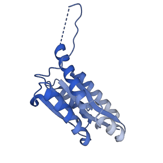 11632_7a4g_LM_v1-2
Aquifex aeolicus lumazine synthase-derived nucleocapsid variant NC-1 (180-mer)