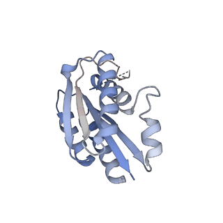 11632_7a4g_LN_v1-2
Aquifex aeolicus lumazine synthase-derived nucleocapsid variant NC-1 (180-mer)