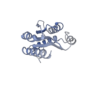 11632_7a4g_LO_v1-2
Aquifex aeolicus lumazine synthase-derived nucleocapsid variant NC-1 (180-mer)