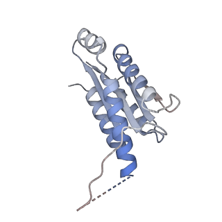 11633_7a4h_AB_v1-2
Aquifex aeolicus lumazine synthase-derived nucleocapsid variant NC-2 (180-mer)