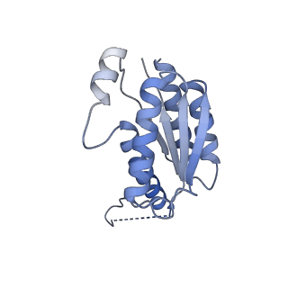 11633_7a4h_AC_v1-2
Aquifex aeolicus lumazine synthase-derived nucleocapsid variant NC-2 (180-mer)
