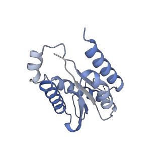 11633_7a4h_AD_v1-2
Aquifex aeolicus lumazine synthase-derived nucleocapsid variant NC-2 (180-mer)
