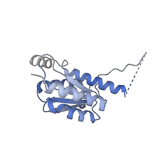 11633_7a4h_AE_v1-2
Aquifex aeolicus lumazine synthase-derived nucleocapsid variant NC-2 (180-mer)