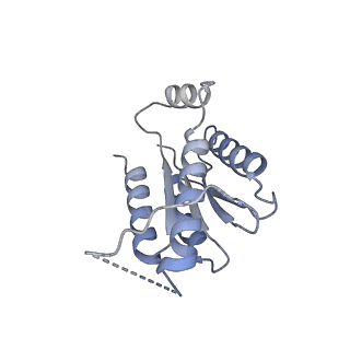 11633_7a4h_AF_v1-2
Aquifex aeolicus lumazine synthase-derived nucleocapsid variant NC-2 (180-mer)