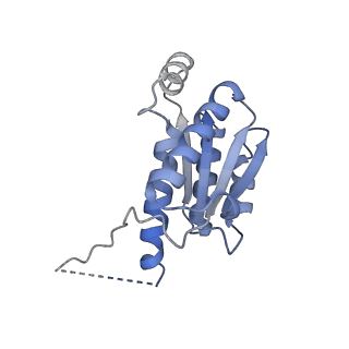 11633_7a4h_AG_v1-2
Aquifex aeolicus lumazine synthase-derived nucleocapsid variant NC-2 (180-mer)