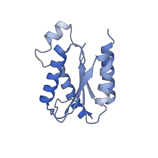 11633_7a4h_AH_v1-2
Aquifex aeolicus lumazine synthase-derived nucleocapsid variant NC-2 (180-mer)