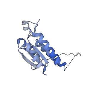 11633_7a4h_AI_v1-2
Aquifex aeolicus lumazine synthase-derived nucleocapsid variant NC-2 (180-mer)