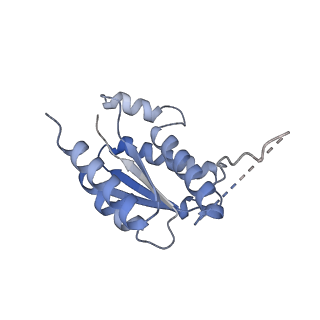 11633_7a4h_AJ_v1-2
Aquifex aeolicus lumazine synthase-derived nucleocapsid variant NC-2 (180-mer)