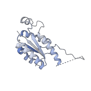 11633_7a4h_AK_v1-2
Aquifex aeolicus lumazine synthase-derived nucleocapsid variant NC-2 (180-mer)