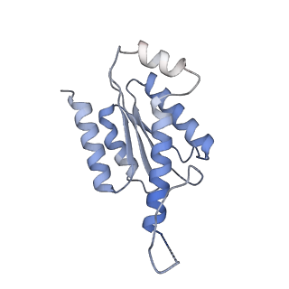 11633_7a4h_AL_v1-2
Aquifex aeolicus lumazine synthase-derived nucleocapsid variant NC-2 (180-mer)