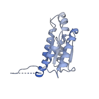 11633_7a4h_AM_v1-2
Aquifex aeolicus lumazine synthase-derived nucleocapsid variant NC-2 (180-mer)
