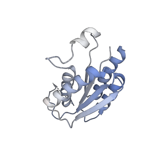 11633_7a4h_AN_v1-2
Aquifex aeolicus lumazine synthase-derived nucleocapsid variant NC-2 (180-mer)