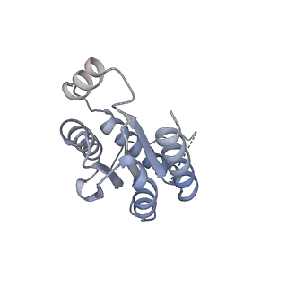 11633_7a4h_AO_v1-2
Aquifex aeolicus lumazine synthase-derived nucleocapsid variant NC-2 (180-mer)