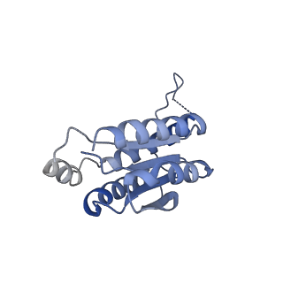 11633_7a4h_BA_v1-2
Aquifex aeolicus lumazine synthase-derived nucleocapsid variant NC-2 (180-mer)