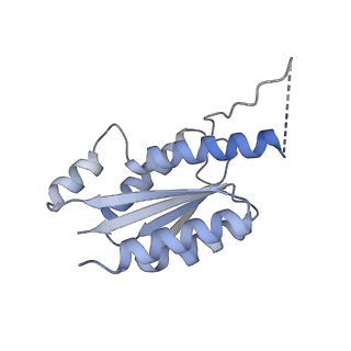 11633_7a4h_BB_v1-2
Aquifex aeolicus lumazine synthase-derived nucleocapsid variant NC-2 (180-mer)