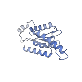 11633_7a4h_BC_v1-2
Aquifex aeolicus lumazine synthase-derived nucleocapsid variant NC-2 (180-mer)
