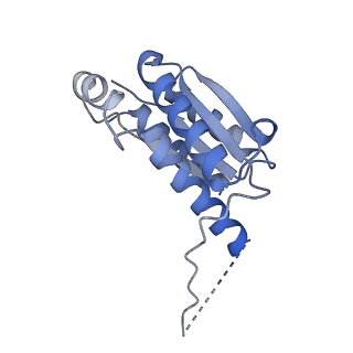 11633_7a4h_BD_v1-2
Aquifex aeolicus lumazine synthase-derived nucleocapsid variant NC-2 (180-mer)