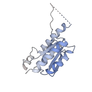 11633_7a4h_BF_v1-2
Aquifex aeolicus lumazine synthase-derived nucleocapsid variant NC-2 (180-mer)