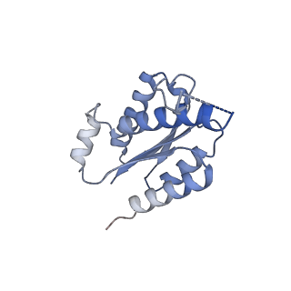 11633_7a4h_BG_v1-2
Aquifex aeolicus lumazine synthase-derived nucleocapsid variant NC-2 (180-mer)