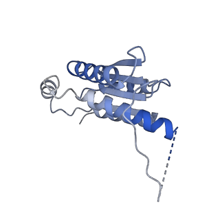 11633_7a4h_BH_v1-2
Aquifex aeolicus lumazine synthase-derived nucleocapsid variant NC-2 (180-mer)