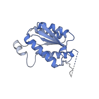 11633_7a4h_BI_v1-2
Aquifex aeolicus lumazine synthase-derived nucleocapsid variant NC-2 (180-mer)