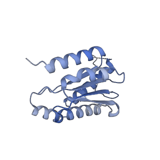 11633_7a4h_BJ_v1-2
Aquifex aeolicus lumazine synthase-derived nucleocapsid variant NC-2 (180-mer)