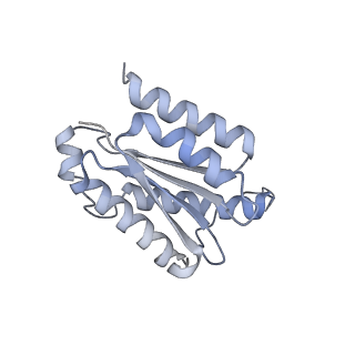 11633_7a4h_BK_v1-2
Aquifex aeolicus lumazine synthase-derived nucleocapsid variant NC-2 (180-mer)