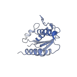 11633_7a4h_BM_v1-2
Aquifex aeolicus lumazine synthase-derived nucleocapsid variant NC-2 (180-mer)