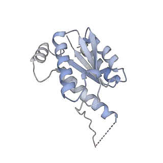 11633_7a4h_BO_v1-2
Aquifex aeolicus lumazine synthase-derived nucleocapsid variant NC-2 (180-mer)