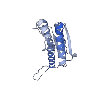 11633_7a4h_CA_v1-2
Aquifex aeolicus lumazine synthase-derived nucleocapsid variant NC-2 (180-mer)