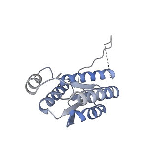 11633_7a4h_CC_v1-2
Aquifex aeolicus lumazine synthase-derived nucleocapsid variant NC-2 (180-mer)