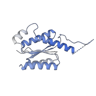 11633_7a4h_CD_v1-2
Aquifex aeolicus lumazine synthase-derived nucleocapsid variant NC-2 (180-mer)