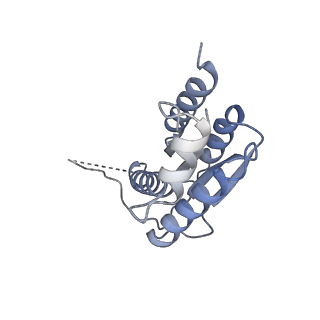 11633_7a4h_CF_v1-2
Aquifex aeolicus lumazine synthase-derived nucleocapsid variant NC-2 (180-mer)