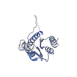 11633_7a4h_CG_v1-2
Aquifex aeolicus lumazine synthase-derived nucleocapsid variant NC-2 (180-mer)