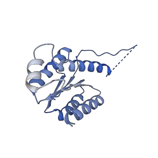 11633_7a4h_CH_v1-2
Aquifex aeolicus lumazine synthase-derived nucleocapsid variant NC-2 (180-mer)