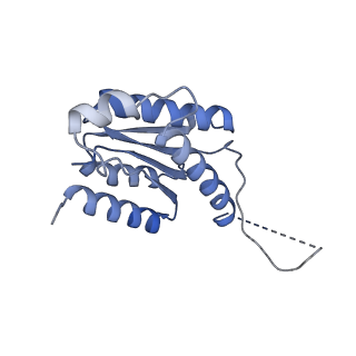 11633_7a4h_CI_v1-2
Aquifex aeolicus lumazine synthase-derived nucleocapsid variant NC-2 (180-mer)