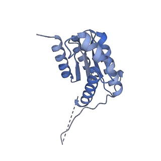 11633_7a4h_CJ_v1-2
Aquifex aeolicus lumazine synthase-derived nucleocapsid variant NC-2 (180-mer)