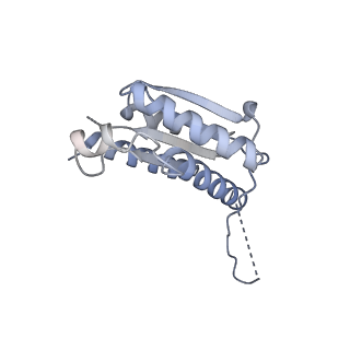 11633_7a4h_CK_v1-2
Aquifex aeolicus lumazine synthase-derived nucleocapsid variant NC-2 (180-mer)